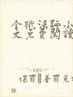 全职法师小说全文免费阅读无弹窗