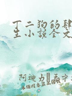 丁二狗的肆意人生小说全文阅读