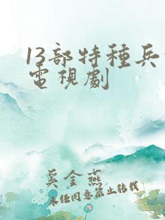 13部特种兵的电视剧