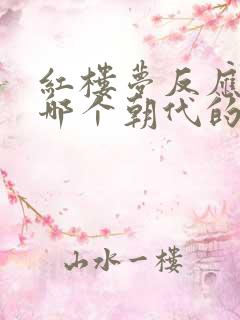 红楼梦反应的是哪个朝代的故事