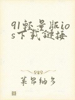 91轻量版ios下载链接
