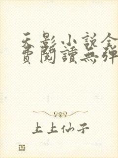 天影小说全文免费阅读无弹窗