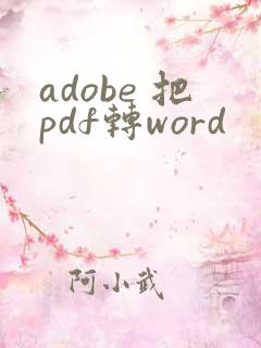 adobe 把pdf转word