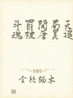 斗罗开局天使武魂被唐昊追杀txt下载