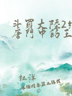 斗罗大陆2绝世唐门中的王冬
