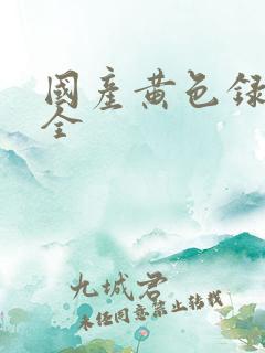 国产黄色录像大全