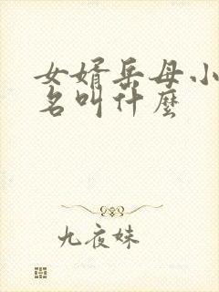 女婿岳母小说书名叫什么