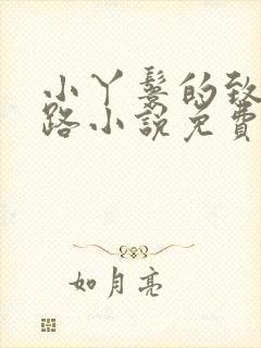 小丫鬟的致富之路小说免费阅读看书网