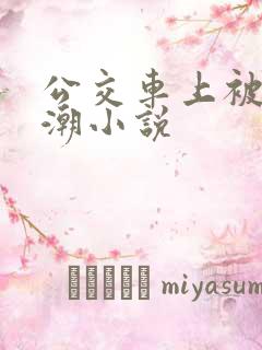 公交车上被插高潮小说