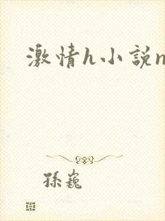 激情h小说np