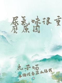 尿气味很重是什么原因