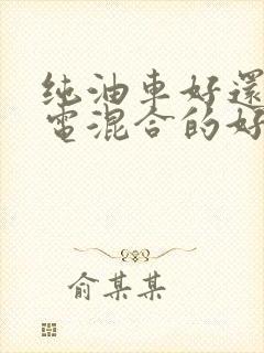 纯油车好还是油电混合的好