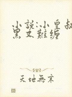 小说:小皇叔腹黑又难缠