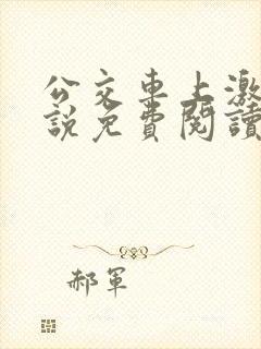 公交车上激情小说免费阅读