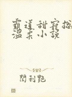 霸道甜宠总裁请温柔小说