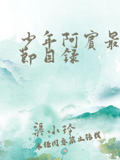少年阿宾最新章节目录