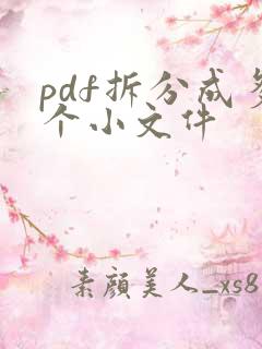 pdf拆分成多个小文件