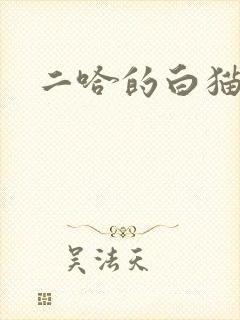 二哈的白猫师尊