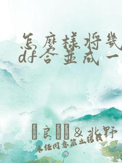 怎么样将几个pdf合并成一个压缩文件