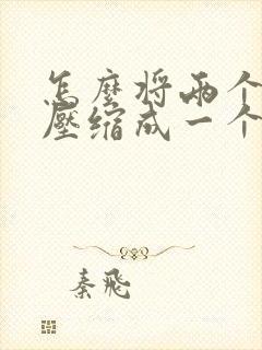 怎么将两个文档压缩成一个文件