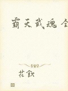 霸天武魂 全文