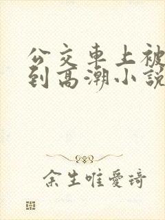 公交车上被人摸到高潮小说