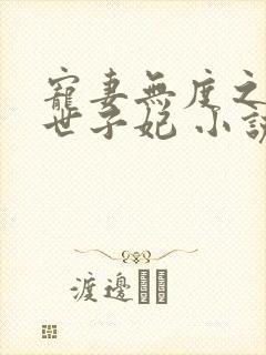 宠妻无度之腹黑世子妃 小说