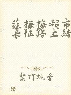 苏梅梅超市开在长征路上结局