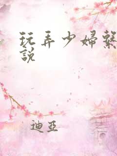玩弄少妇系列小说