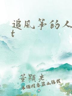 追风筝的人txt