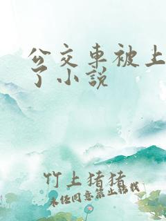 公交车被上高潮了小说