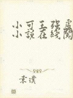 小可王强卢叔的小说在线阅读全文