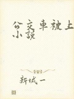 公交车被上高潮小说