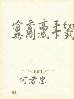 偷香高手txt无删减下载