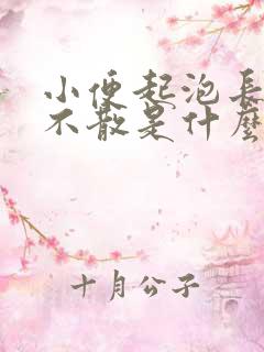 小便起泡长时间不散是什么原因