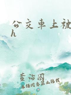 公交车上被插入h