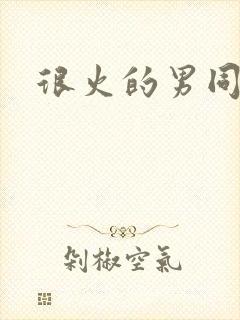 很火的男同小说