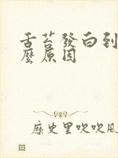 舌苔发白到底什么原因