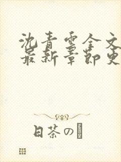 沈青云全文免费最新章节更新