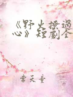 《野火撩过姐姐心》短剧全集免费观