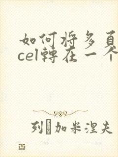 如何将多页excel转在一个pdf文件