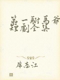 第一驸马爷顾道短剧全集