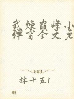 武炼巅峰小说无弹窗全文免费阅读