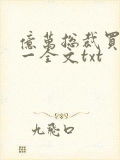 亿万总裁买一送一全文txt