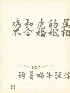 鸡和虎的属相合不合婚姻相配