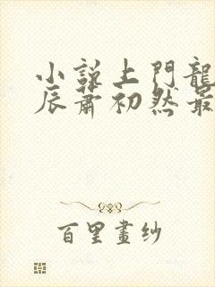 小说上门龙婿叶辰萧初然最新更新