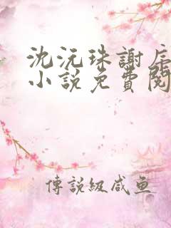 沈沅珠谢序川的小说免费阅读全文