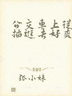 公交车上从背后插进去好爽