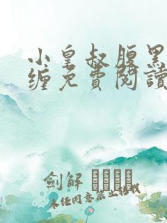小皇叔腹黑又难缠免费阅读全文