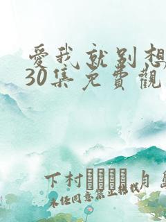 爱我就别想太多30集免费观看